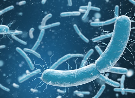 Probiyotiklerin Mekanizmaları